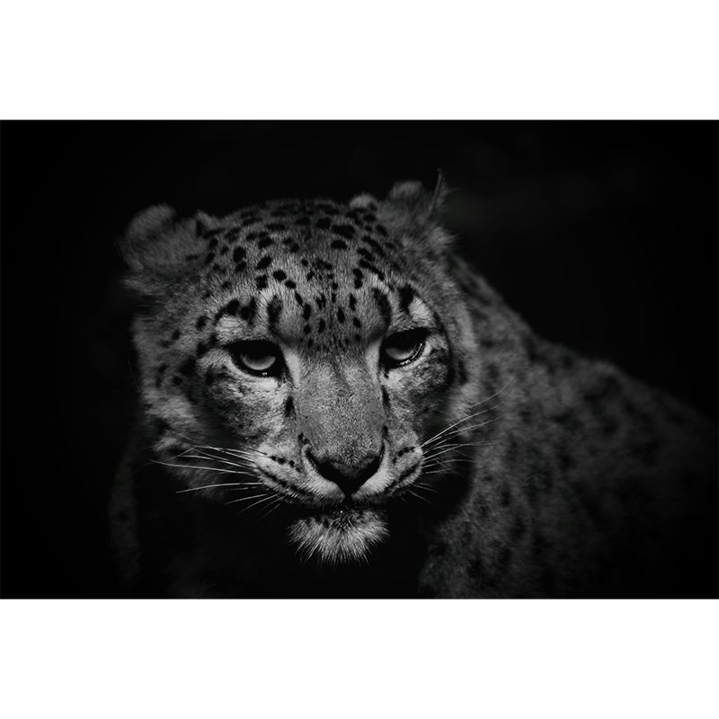 Leopard Animal Waterproof Wall Murals for Home Decoration, Custom Size Available