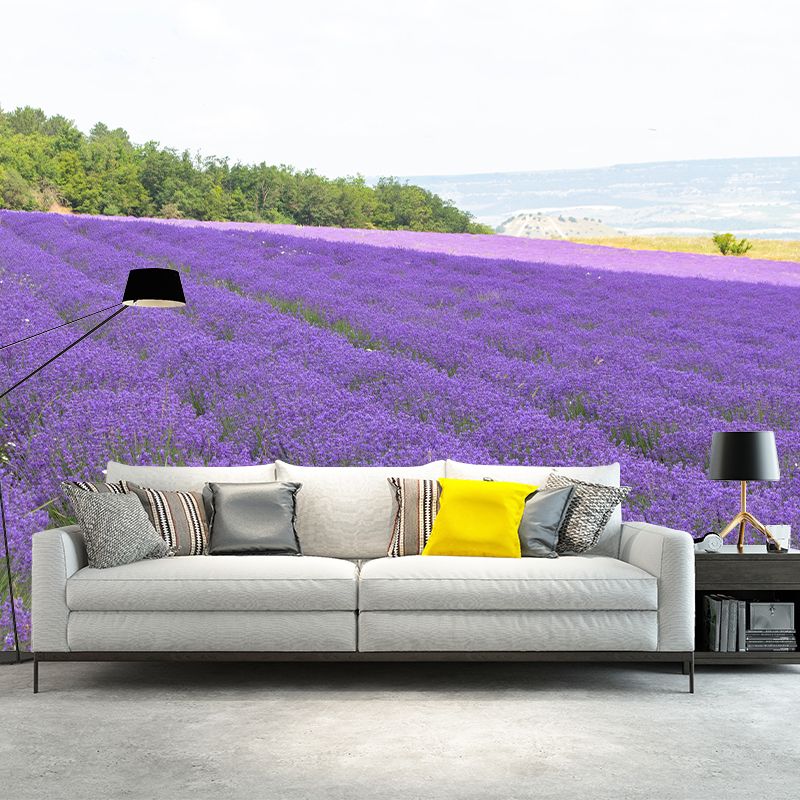 Purple Lavender Field Mural Wallpaper Contemporary Wall Covering for Sleeping Room