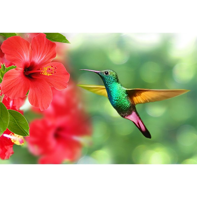 Hummingbird Wall Mural Wallpaper Mildew Resistant Wall Covering for Decoration