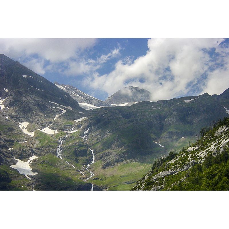 Mountain View Wall Mural Wallpaper Modern Mildew Resistant Wall Covering