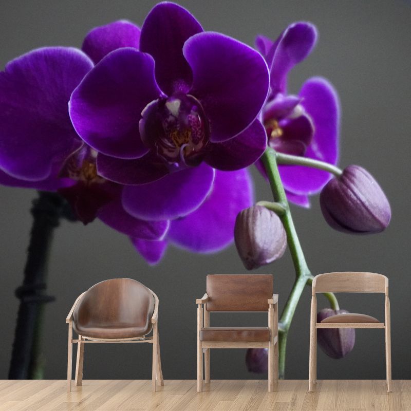 Orchid Mural Wallpaper Modernism Wall Art for Home, Personalized Size Available