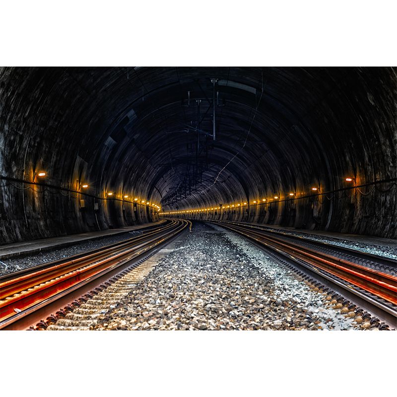 Photography Style Wall Mural 3D Illusion for Home Decor Mildew Resistant for Wall Decor