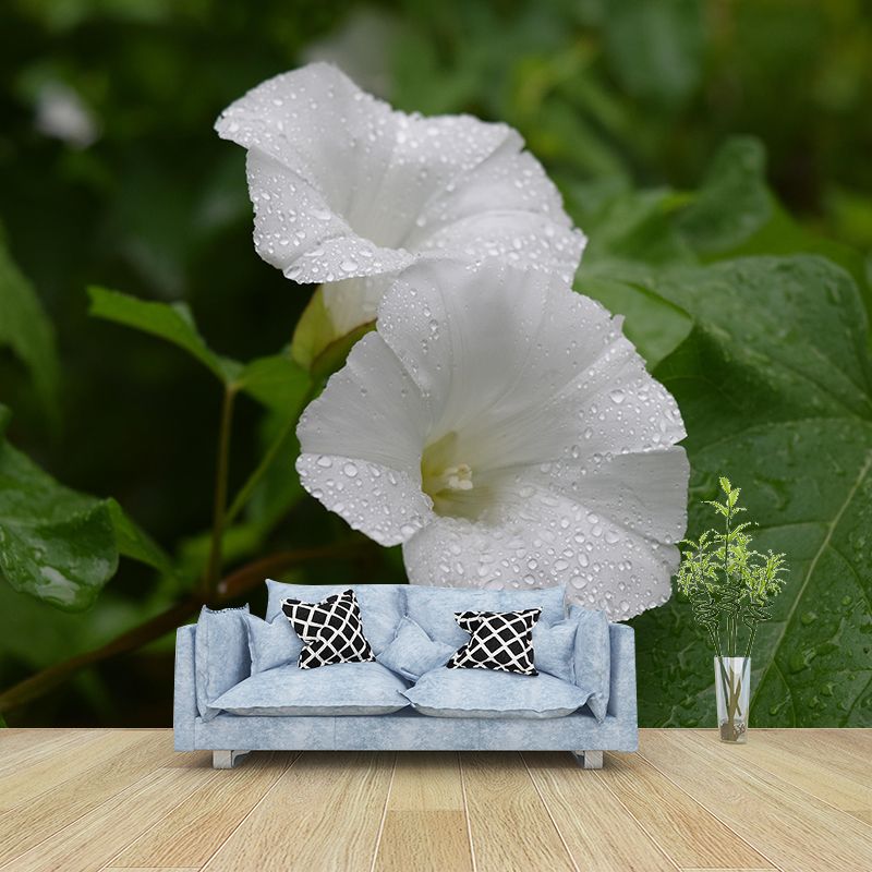 Blooming Morning Glory Mural Wallpaper Environmental Contemporary for Bedroom