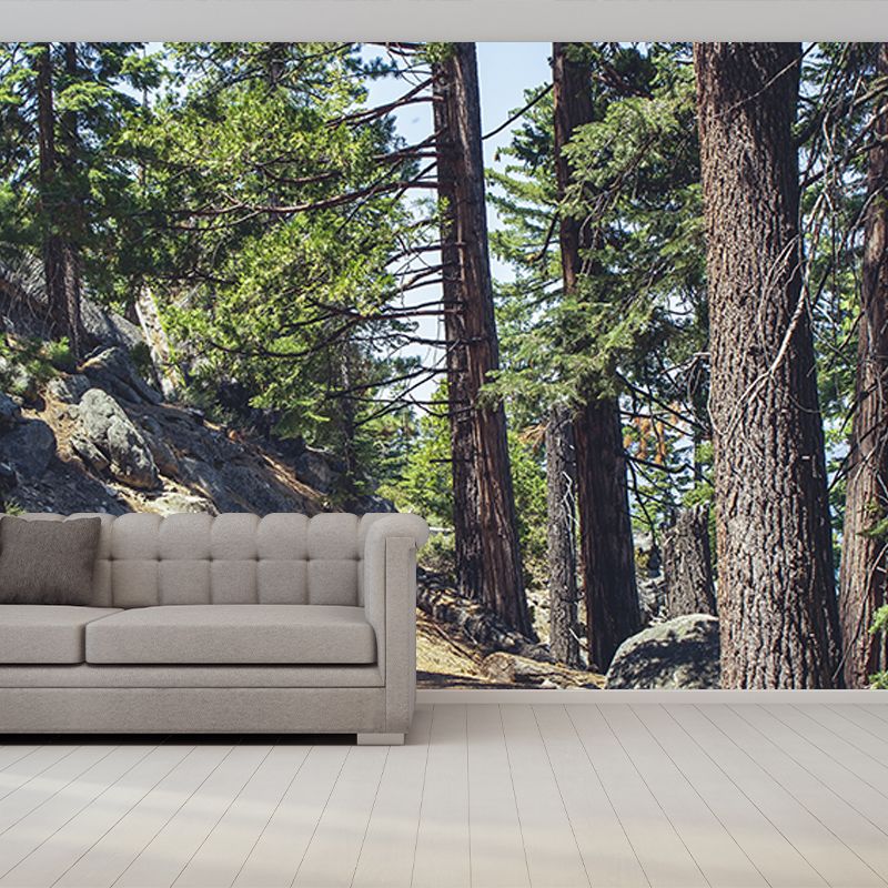 Green Forest Mural Decal Modern Stain Proof Bedroom Wall Decor, Made to Measure