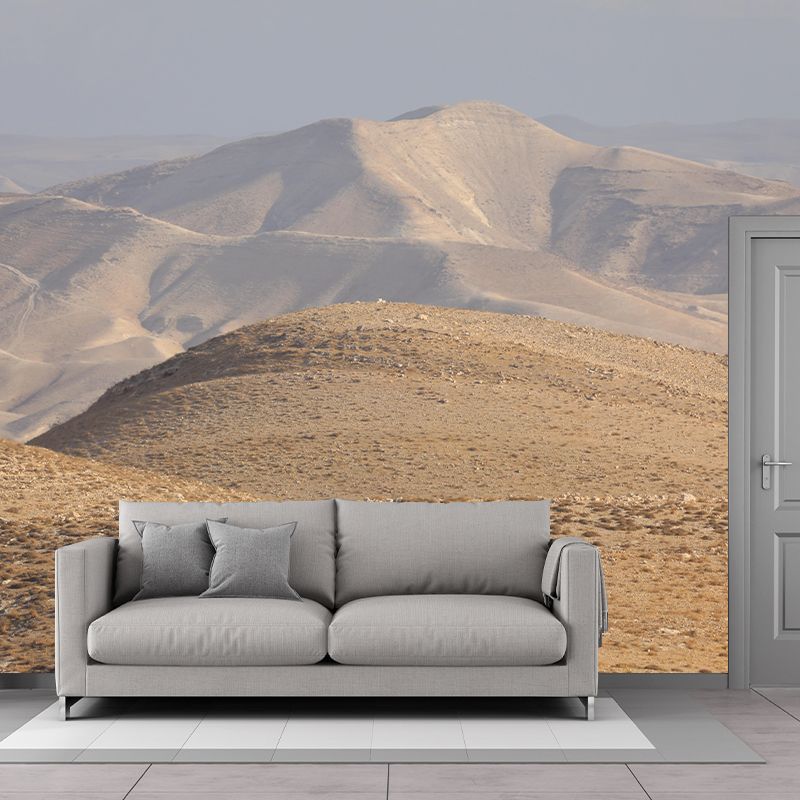 Desert Landscape Mural Modern Style Mildew Resistant for Bedroom