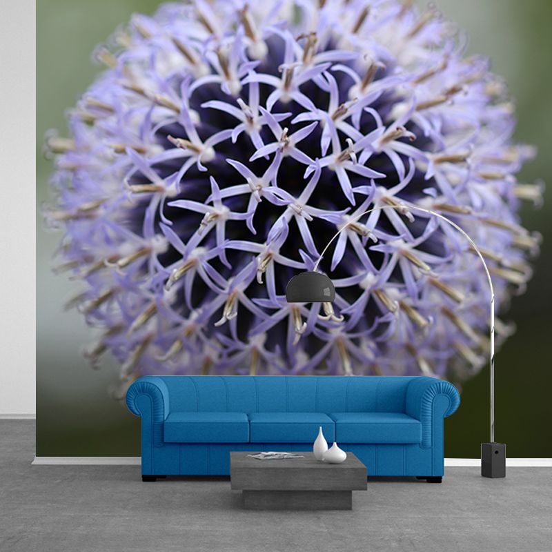 Globe Thistle Full Size Wall Covering for Living Room Plant Mural, Moisture-Resistant