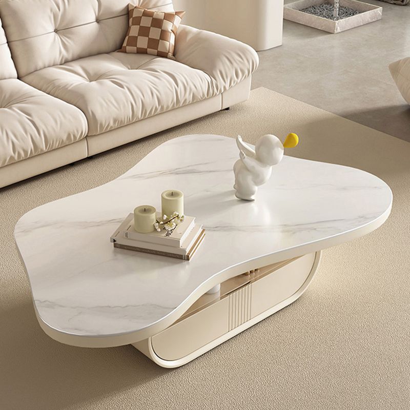 Pedestal Modern Slate Cocktail Table Free-Form Single Coffee Table with Shelf