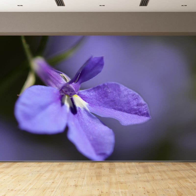 Customized Lobelia Mural Wallpaper Waterproofing Wall Decor for Meeting Room