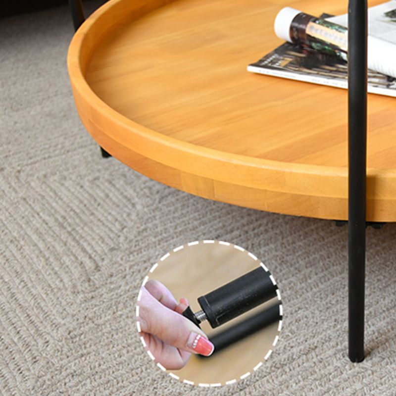 32" Wide Tropical Coffee Table Glass Storage Coffee Cocktail Table