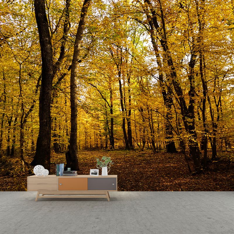 Forest Trees Mural Wallpaper, Stain Resistant Wall Decor for Kitchen Dining Room