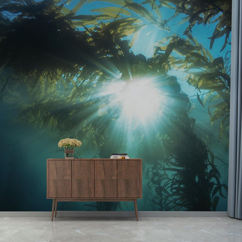 Mildew Resistant Wall Murals Seabed Photography Wall Murals for Bathroom