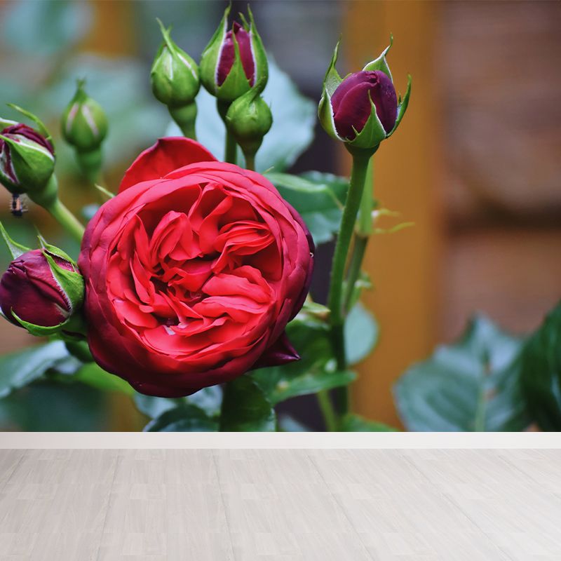 Elegant Rose Mural Wallpaper Custom-Made Wall Covering for Sleepiing Room