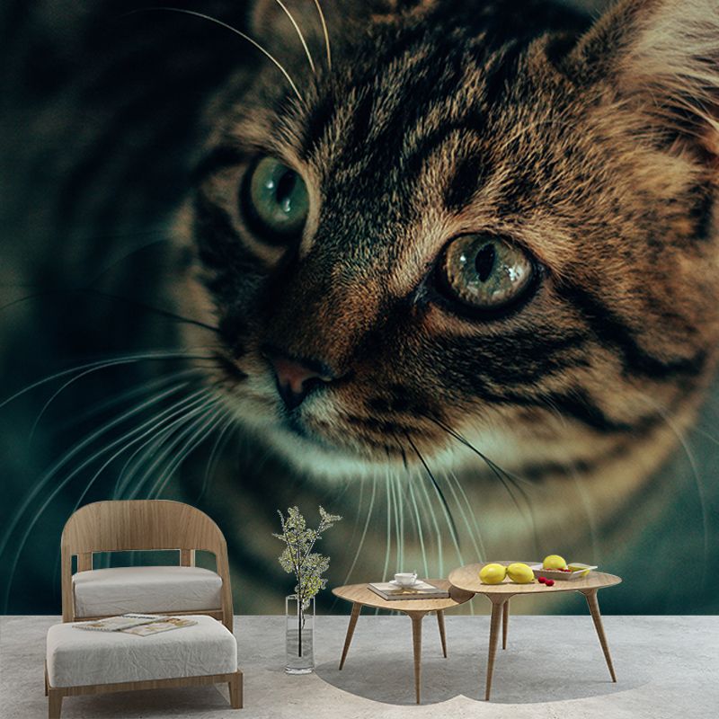 Cute Cats Mildew Resistant Mural Wallpaper Living Room Wall Mural