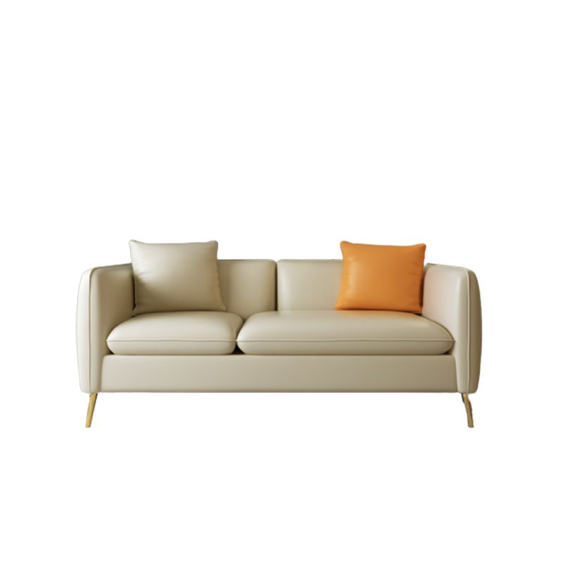 Loose Back Contemporary Seating Standard Sofa for Living Room