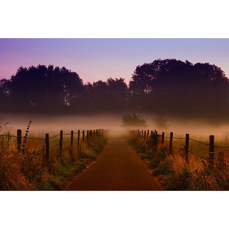 Forest Photography Mural Wallpaper Environment Friendly Living Room Wall Mural