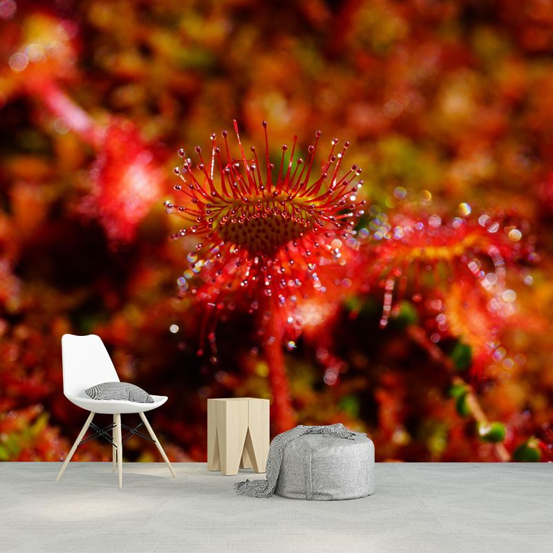 Contemporary Round Leaved Sundew Mural Environment Friendly Wallpaper for Bedroom