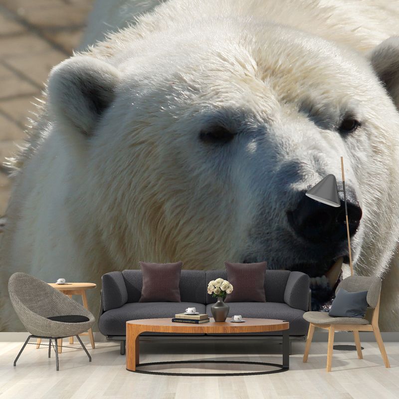 Polar Bear Animal House Wall Mural for Living Room Bedroom, Personalized Size