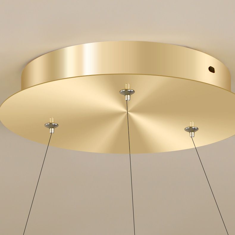 1 Light Twist Chandelier LED Modern Hanging Light Fixtures for Living Room Bedroom