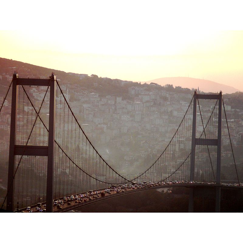 Washable Stain Resistant Mural Wallpaper Traffic Indoor Wall Mural