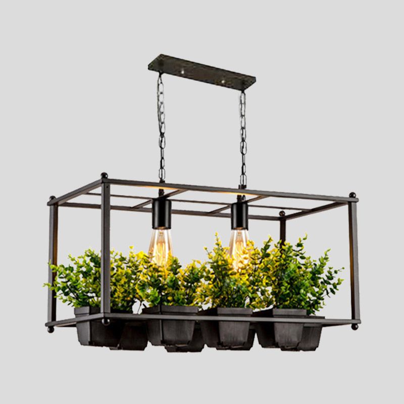 Black 2 Heads Island Lamp Industrial Metal Rectangular LED Plant Hanging Ceiling Light for Restaurant