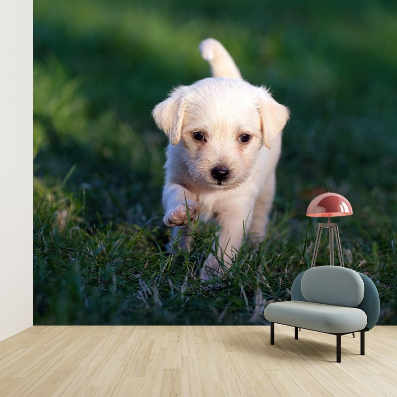 Horizontal Photography Puppy Mural Stain Resistant Wall Art for Living Room