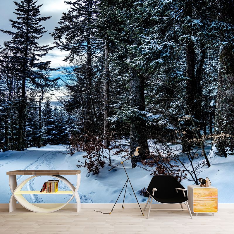 Horizontal Photography Forest Landscapes Mural Eco-friendly Wallpaper for Bedroom