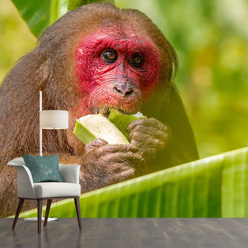 Mural Contemporary Wild Animal Horizontal Photography Living Room Wall Mural