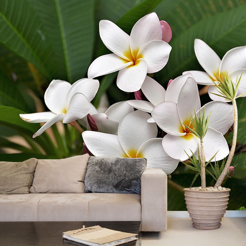 Customized Plumerias Flower Wall Mural Horizontal Photography for Sleeping Room