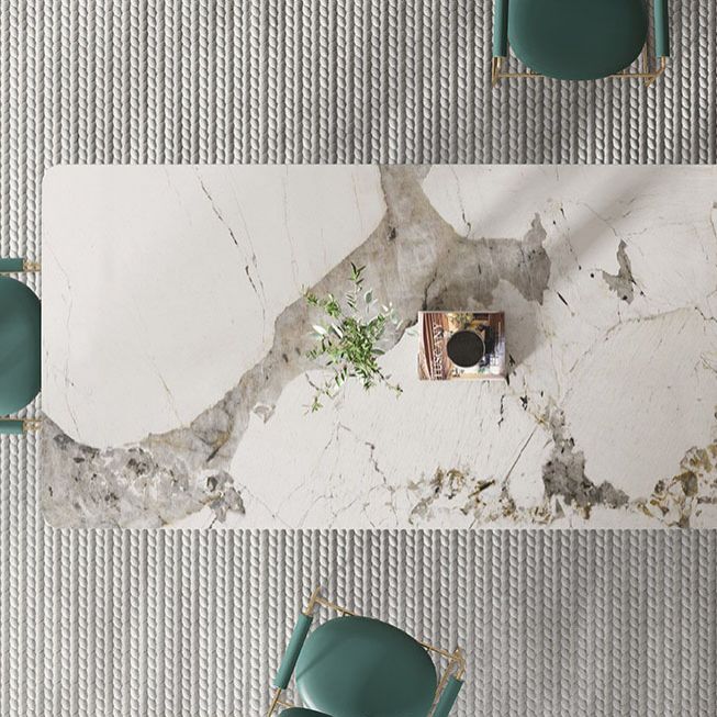 Luxury Sintered Stone Top Dining Set Rectangle 1/2/4/5/7 Pieces Dining Table with Chairs