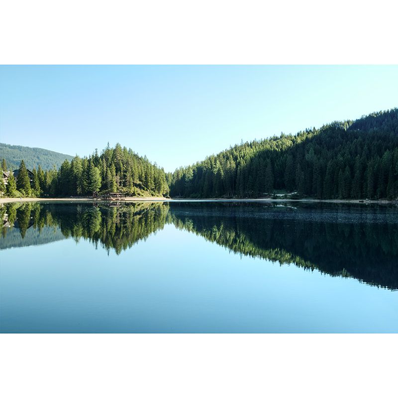 Environment Friendly Mural Wallpaper Forest Photography Bedroom Wall Mural