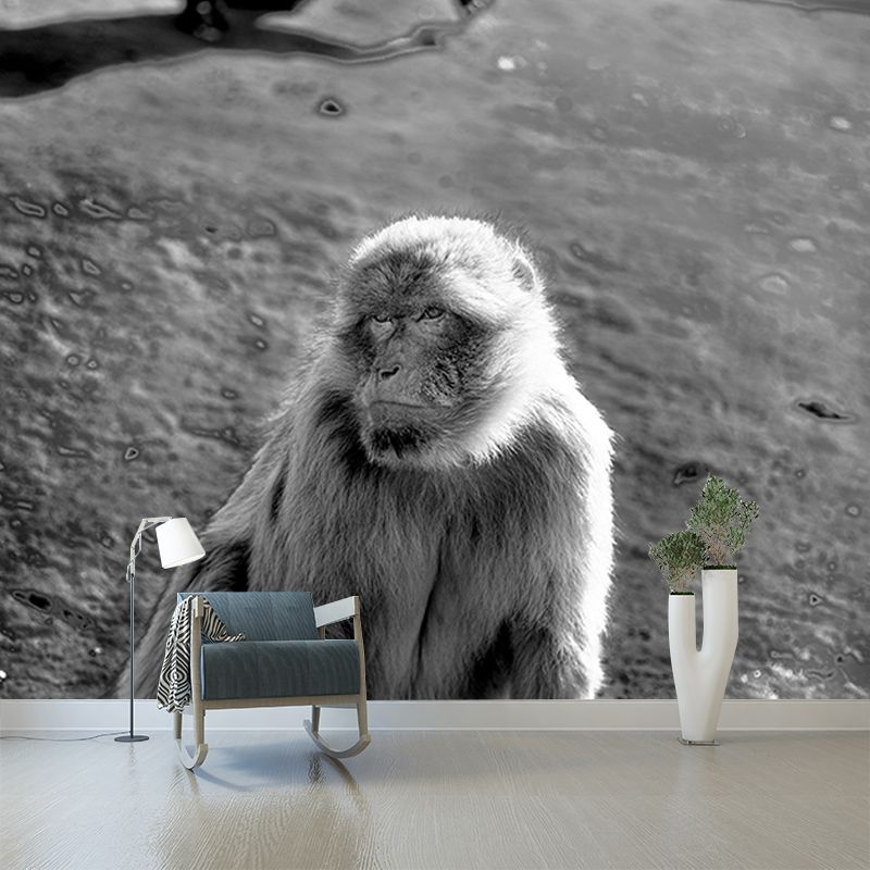 Monkey Animal Moisture-Resistant Mural Wallpaper Nordic Wall Art for Home Decoration