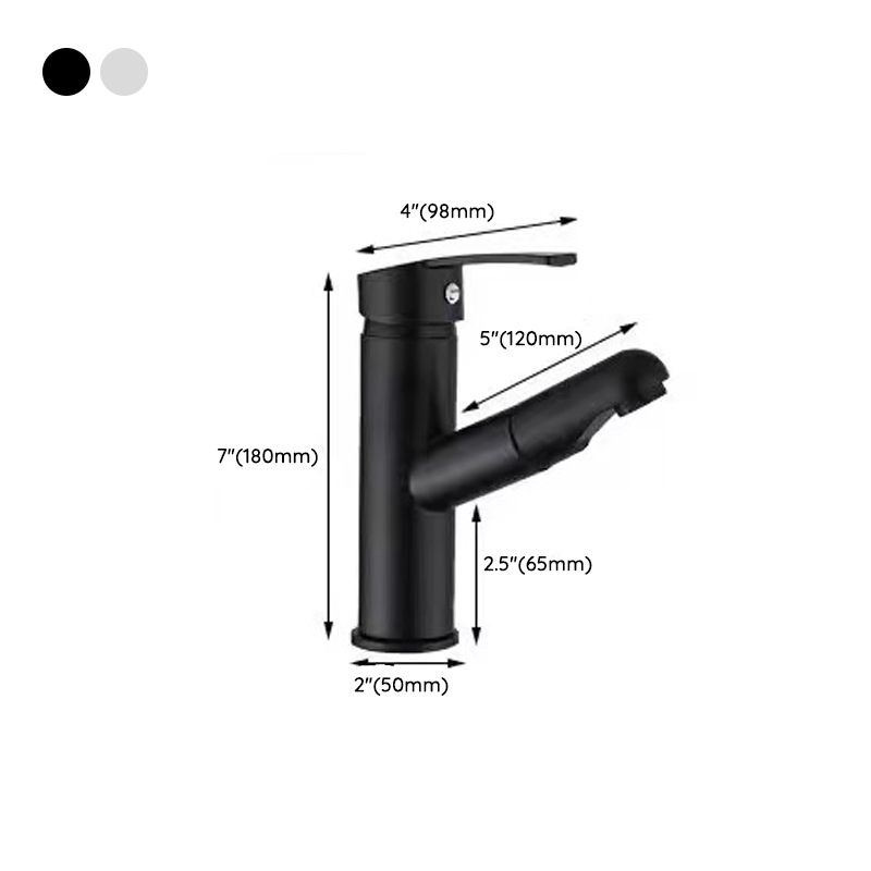 Lever Handle Faucet Contemporary Pull-out Faucet for Bathroom