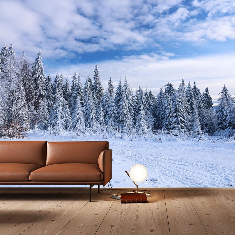 Forest Wall Mural Wallpaper Decorative Mildew Resistant Home Decor