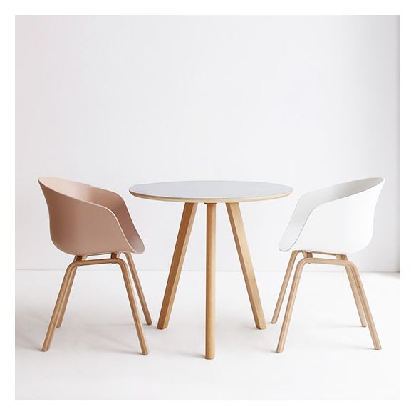 Zeitgenössischer Stil Esszimmerstühle fester Armstuhl mit Holzbeinen