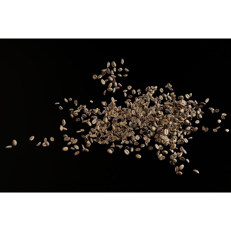 Coffee Shop Wall Mural Minimalist Decoration Coffee Beans, Moisture Resistant