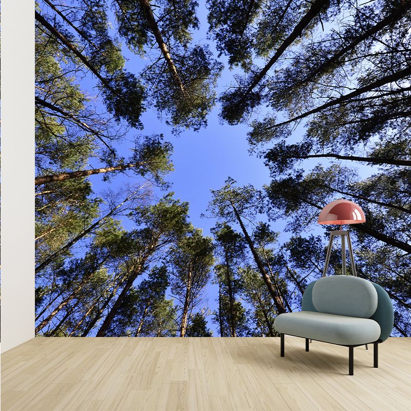 Fancy Scene Style Forest Wall Mural Wallpaper Photography Mildew Resistant for Room