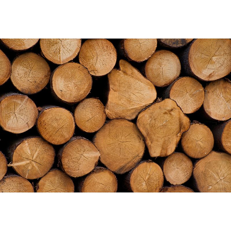 Wood Texture Industrial Style 3D Print Mural Mildew Resistant for Room