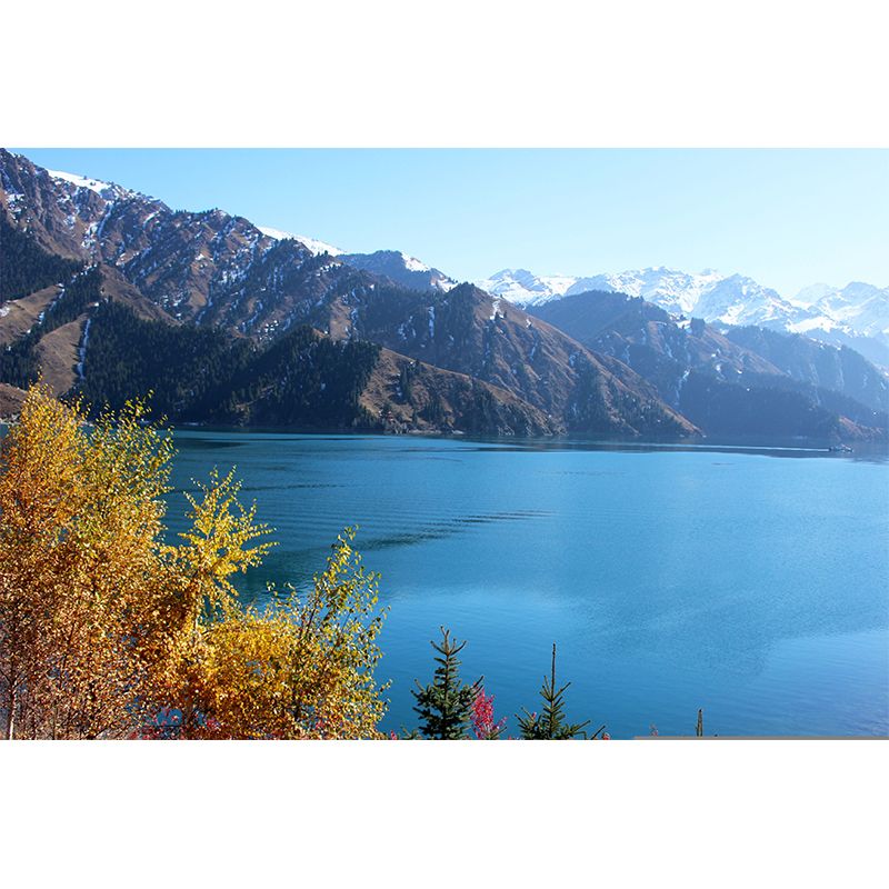 Photography Pattern Mildew Wall Mural  Lake Horizontalt for Living Room