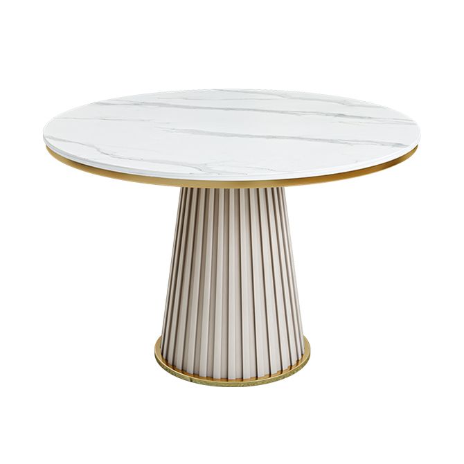 Scandinavian Fixed Dining Room Table Set with Pedestal Base Dining Table Furniture