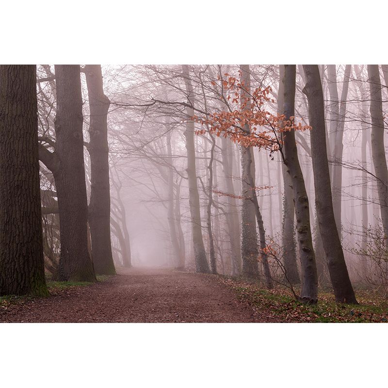 Space Extension Wall Mural Wallpaper Photography Mildew Resistant for Bedroom