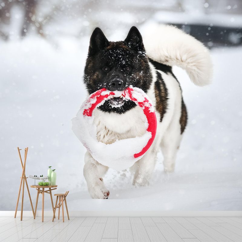 Horizontal Photography Akita Dog Mural Stain Resistant Wall Art for Living Room