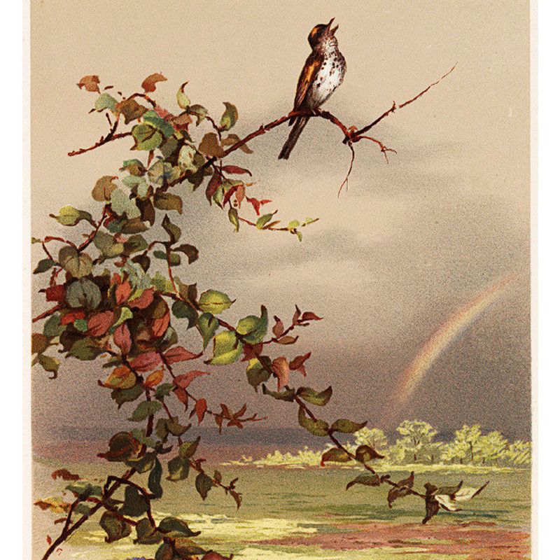 Stain-Proof Branch and Bird Mural Modern Non-Woven Wall Art, Custom Size Available