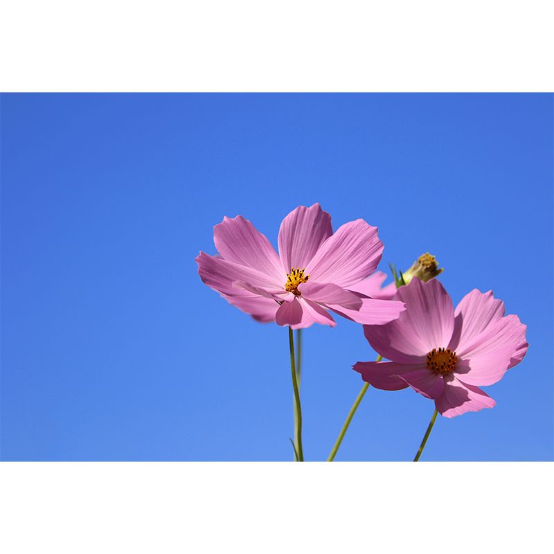 Minimalist Flower Wall Covering for Sleeping Room, Custom Size Available