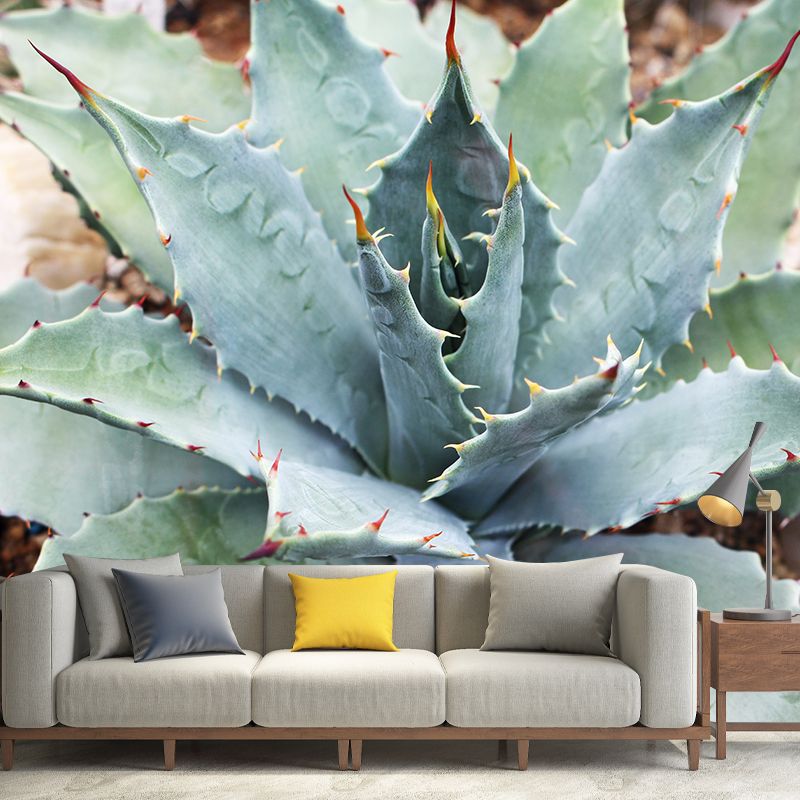 Agave Plant Murals Contemporary Style Photography for Bedroom Home Decor