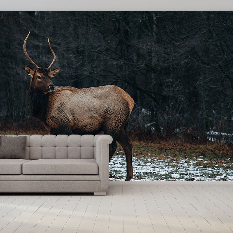 3D Mural Contemporary Style Wild Animal Mural Mildew Resistant Wall Art