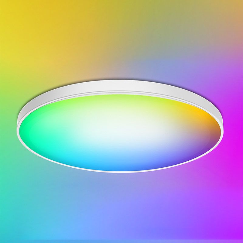 Circolo Camera Da Letto Flush Montaggio Soffitto Light Acrilico RGB Simple Flush Montaggio Illuminazione in bianco