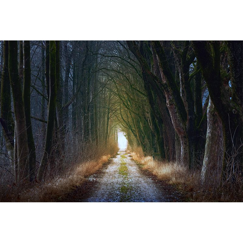 Space Extension Customized Mural Wallpaper Photography Mildew Resistant for Home