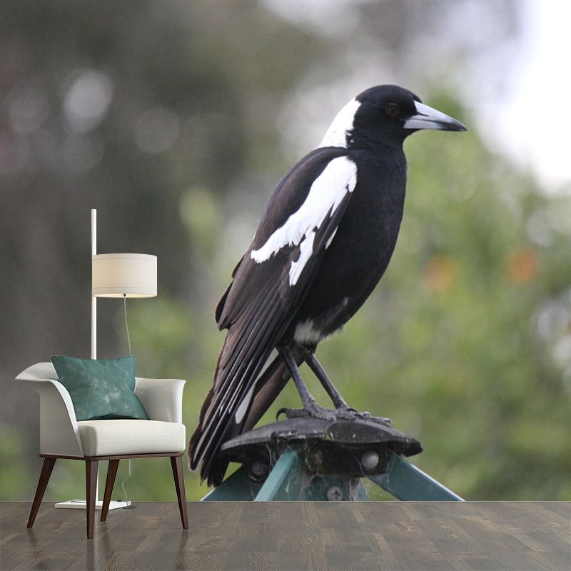 Modern Magpie Mural Wallpaper Moisture Resistant Living Room Wall Covering