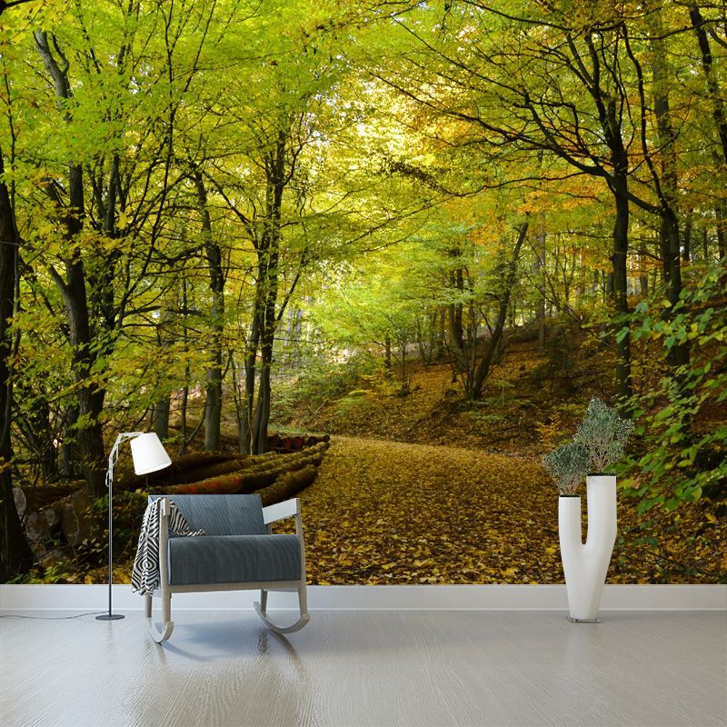 Huge Forest Landscapes Mural Horizontal Photography Wall Covering for Living Room