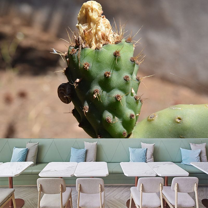 Tropical Cactus Removable Wall Mural for Reading Room, Made to Measure